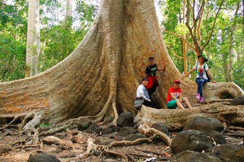 Tour Nam Cát Tiên 2 Ngày 1 Đêm từ TP.HCM (DPT66)